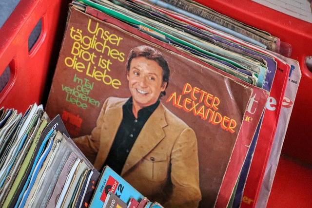 Nachbarschaftshilfe Sortiment Schallplatten